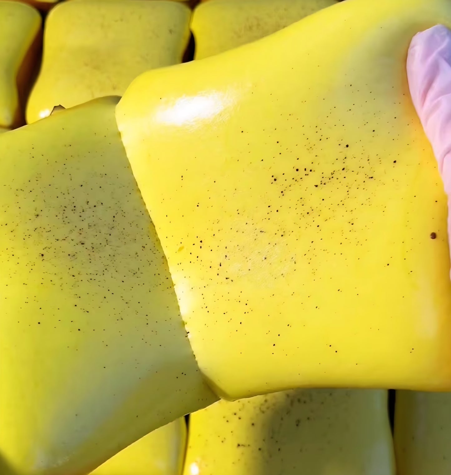 Buttered toast squishy fidget